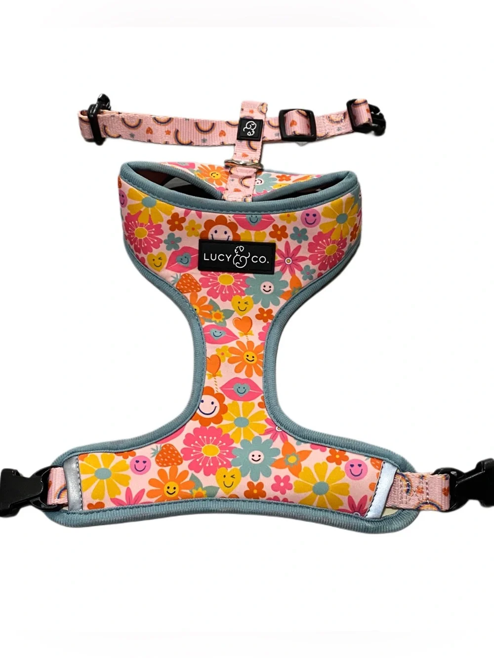 Lucy & Co gently used